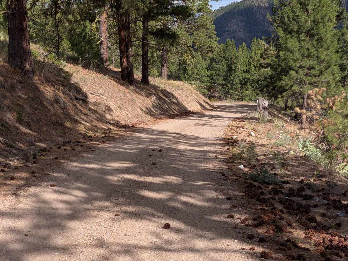 Mineral Hill Road - FS 3700-520 trail photo