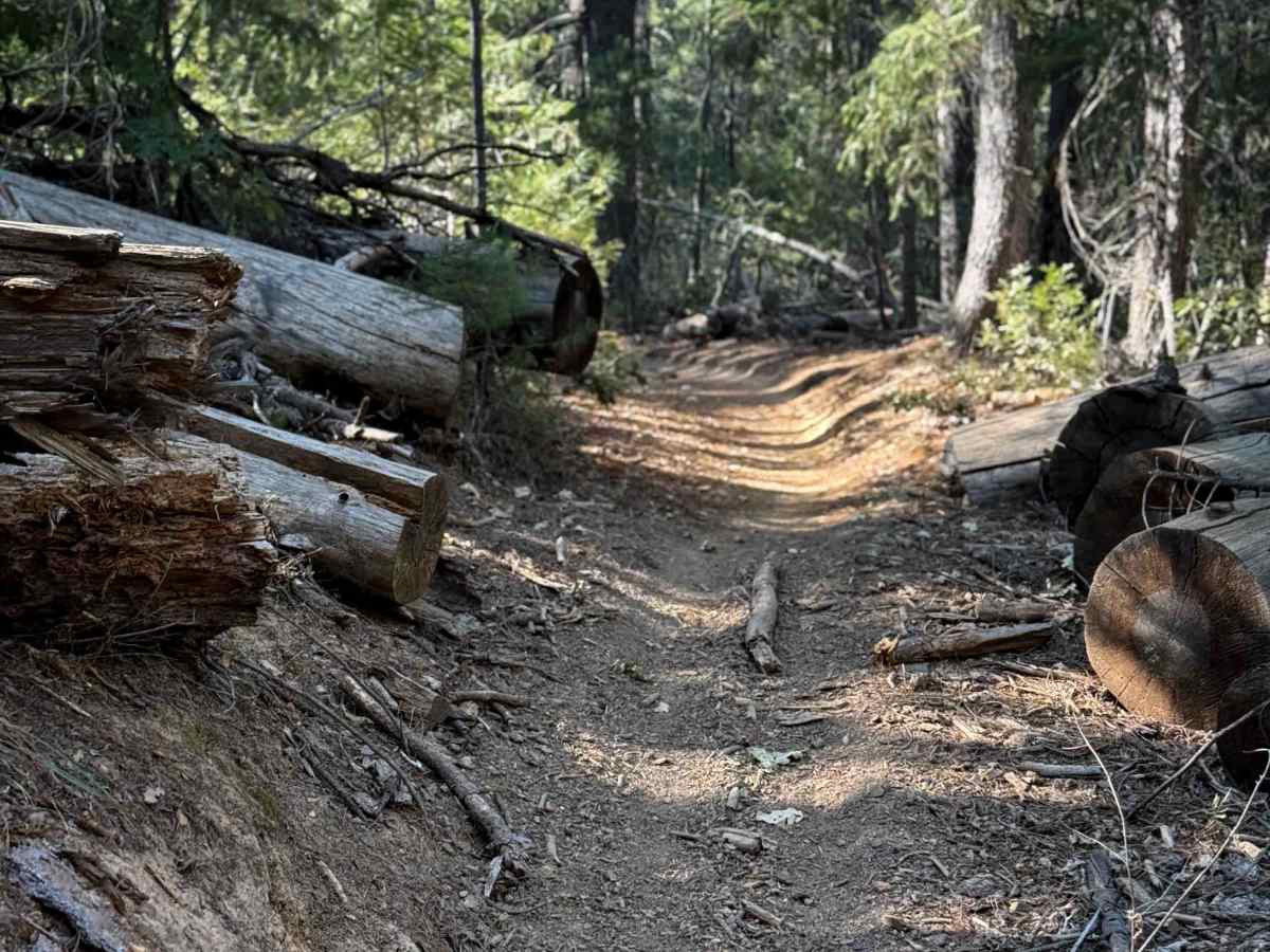 Trail 5-1 (11E32) photo 2