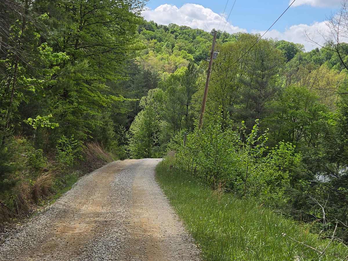 County Line/Brandenburg Road trail photo