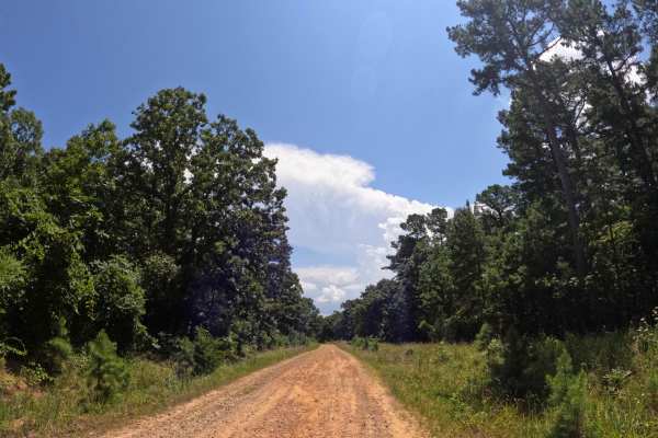 Rich Mountain Byway