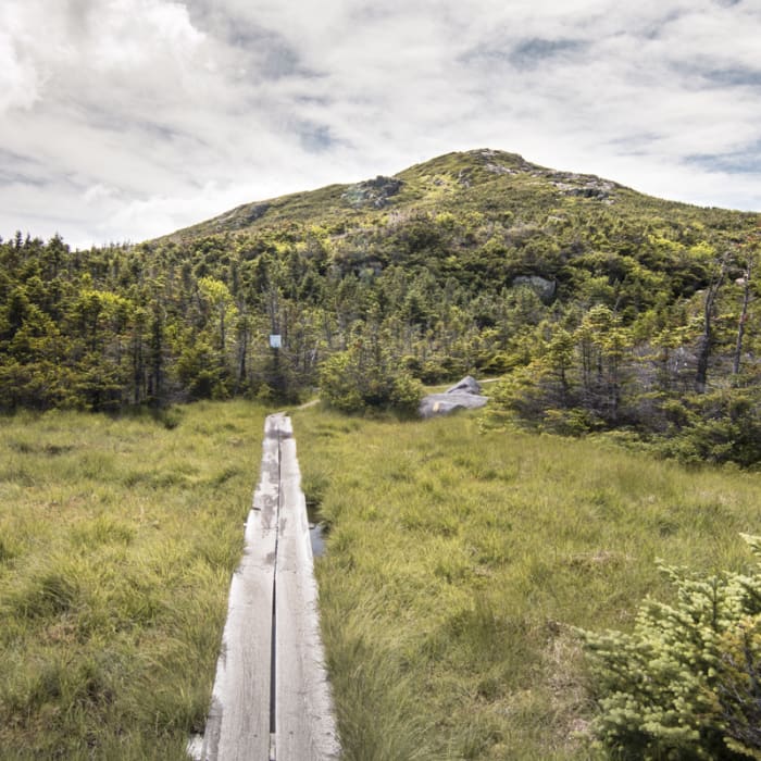 Near The Great Range Traverse Near The Great Range Traverse