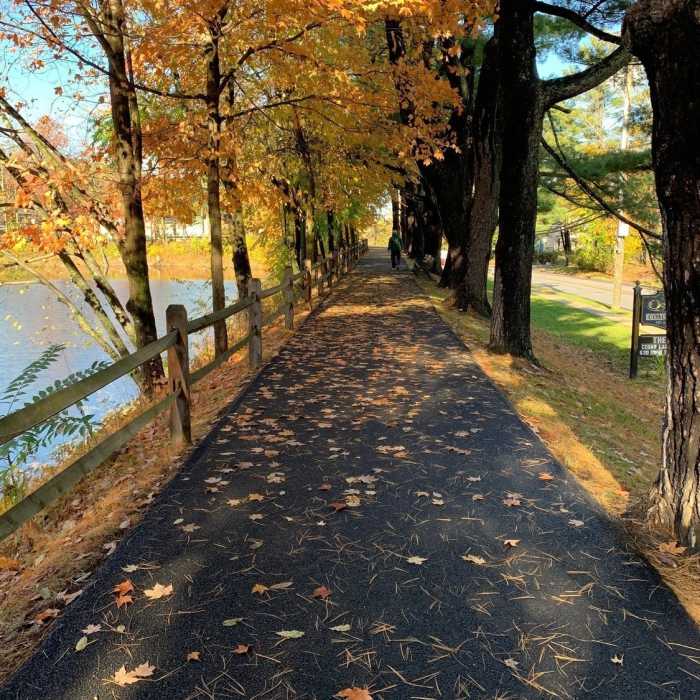 Paved path as it parallels Pleasantville Road Near Richard Wishnie Park Walking Path
