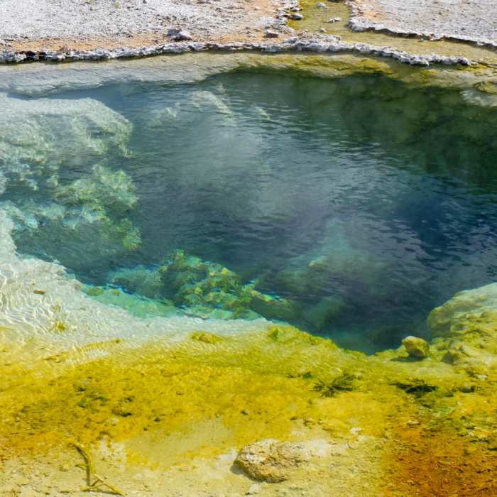 Near Heart Lake/Mt. Sheridan Near Heart Lake/Mt. Sheridan
