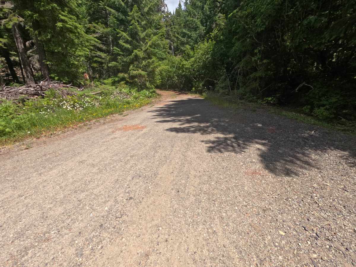 Bluff - FS 4612000 photo 5