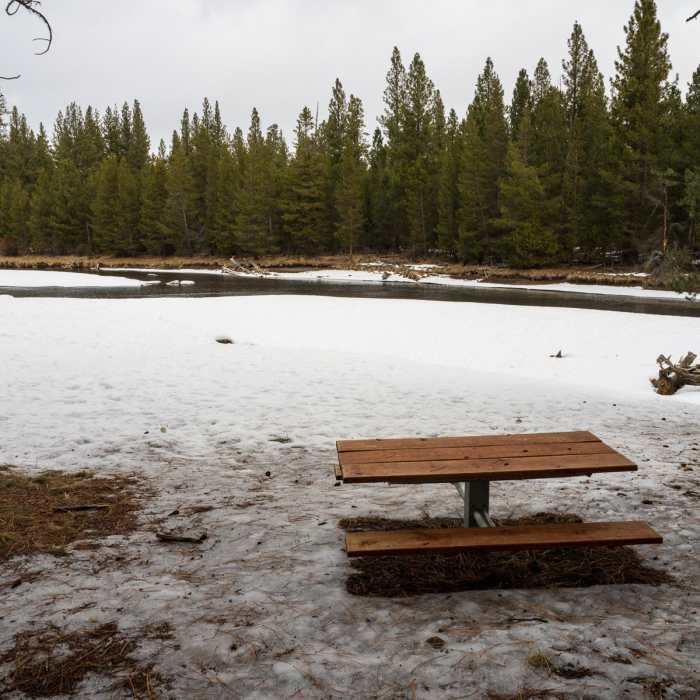 Near Big Tree Loop via Cougar Woods Trail