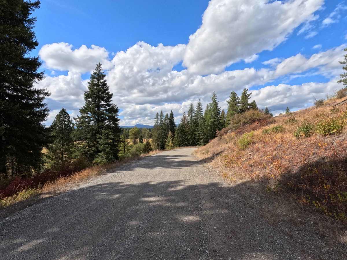 Best Chance Road photo 3