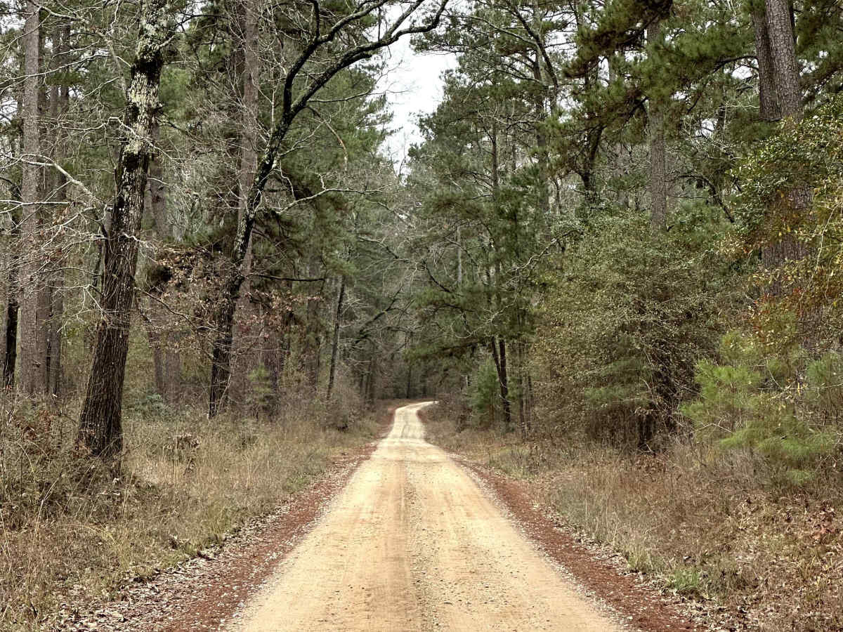 Kelly's Pond Road - FS 271 photo 3