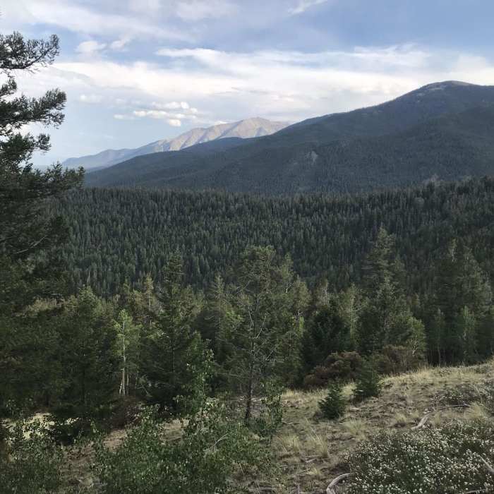 Near Colorado Trail: Segment 12