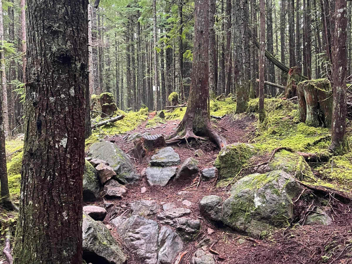 Side Wrays trail photo