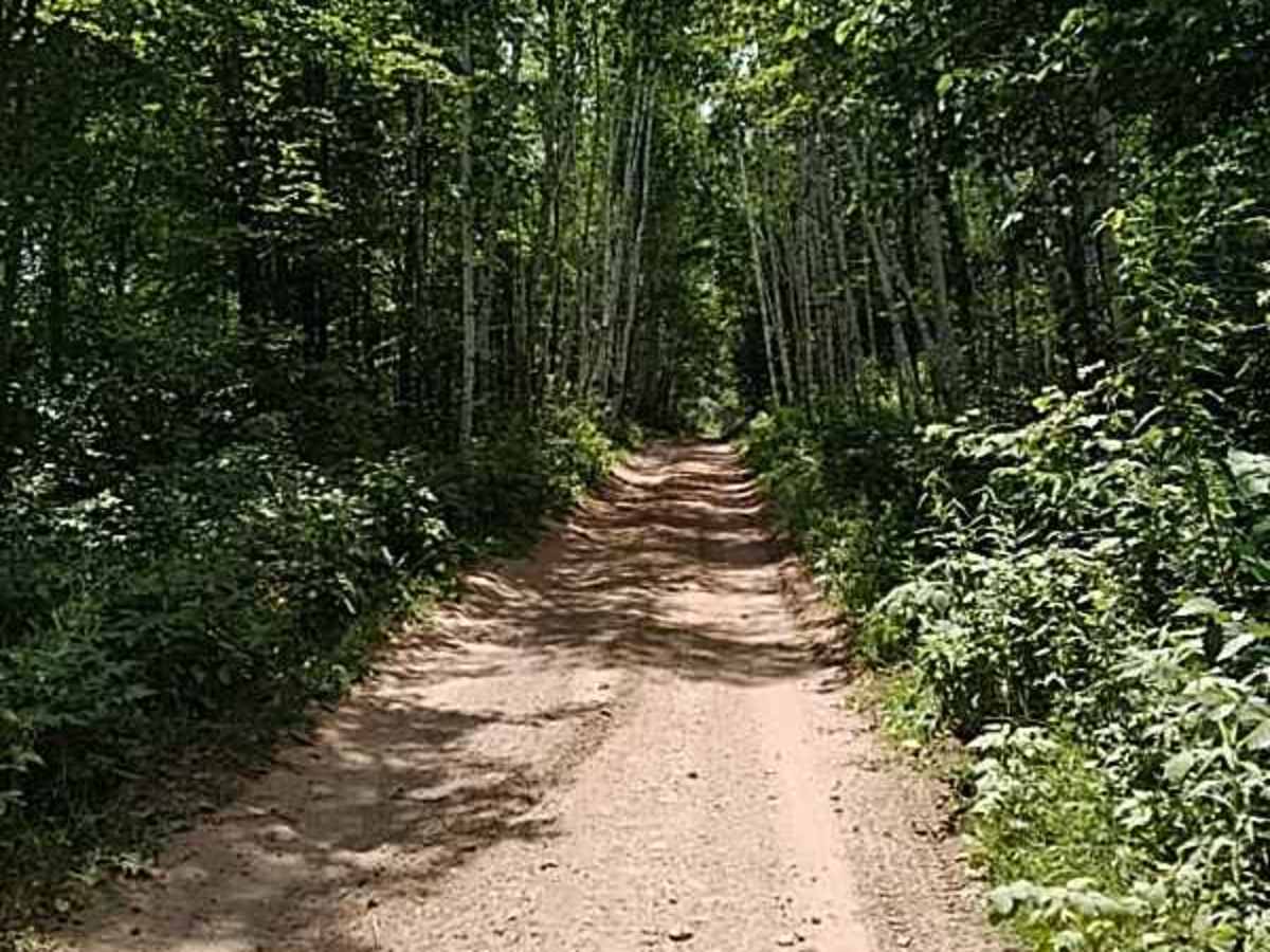 Butler Rock Loop photo 3