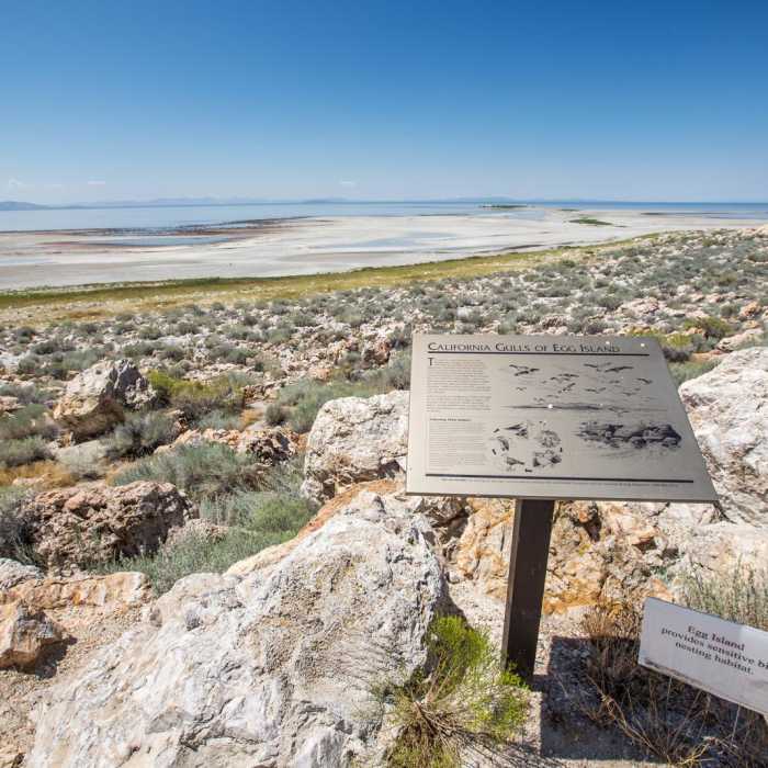 Near Lady Finger Point