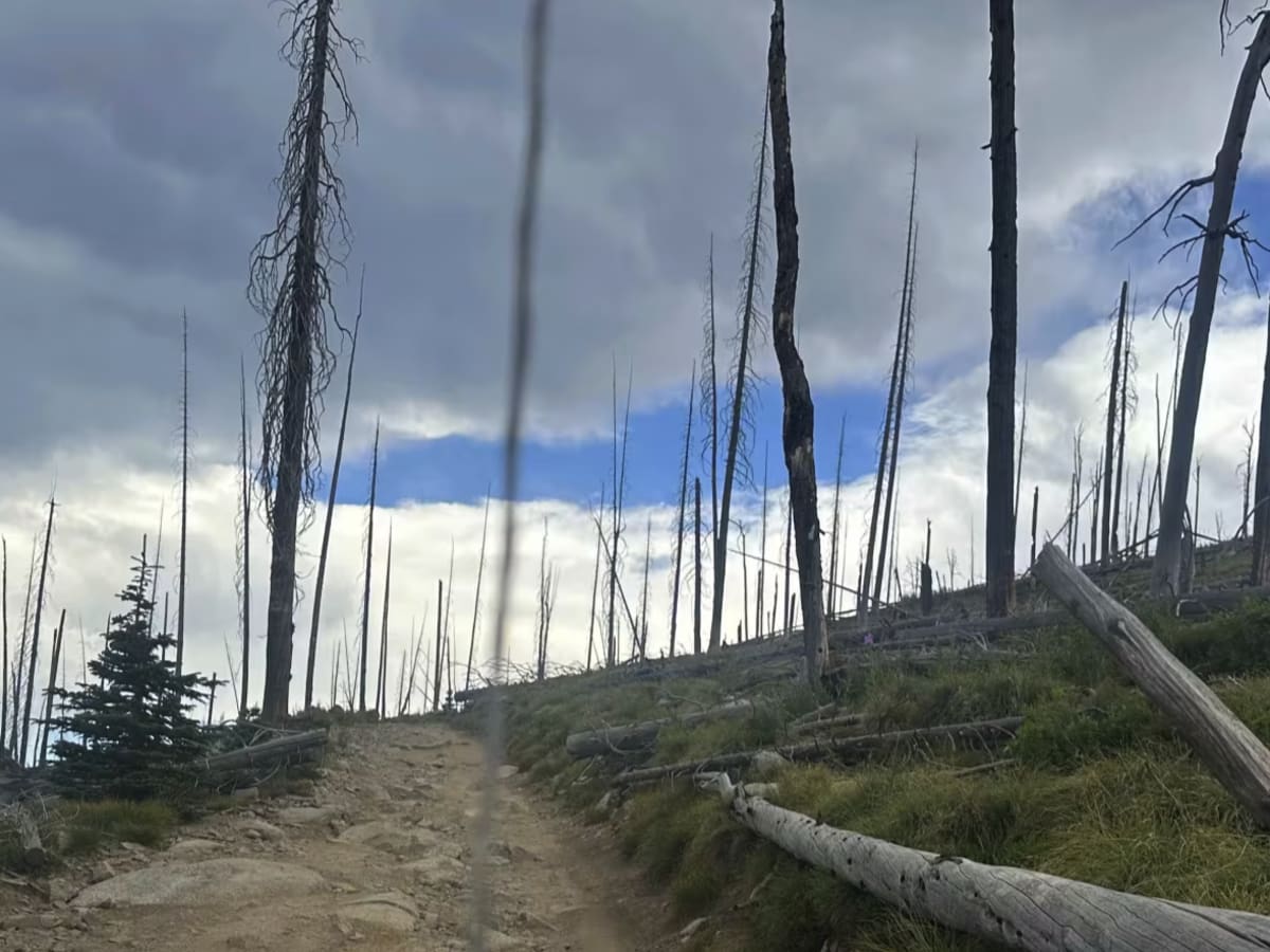 Burnt Knob Lookout photo 4