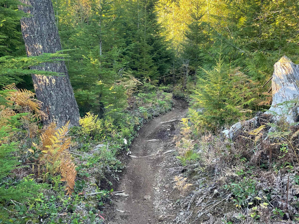 Hayden's Trail photo 3