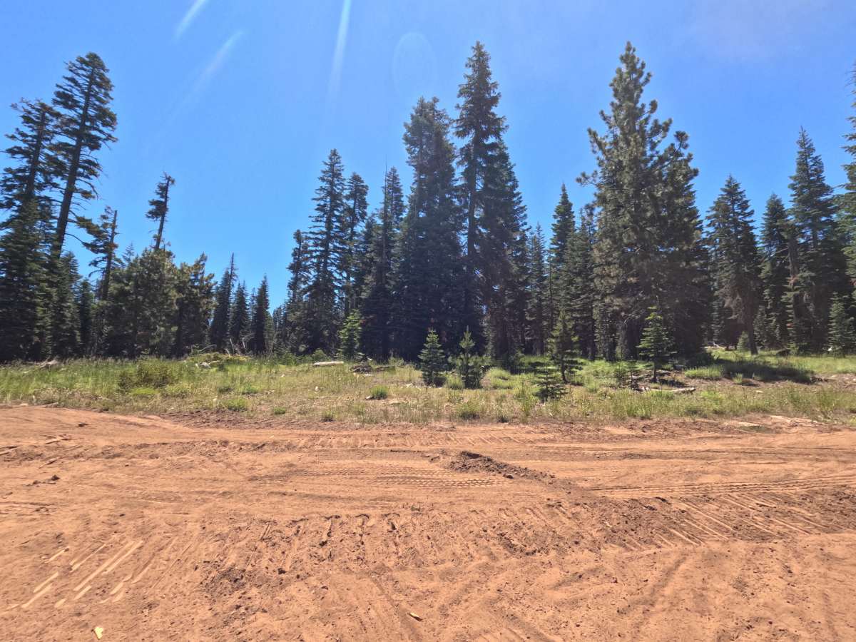 Flat Hook - FS 11N99E trail photo