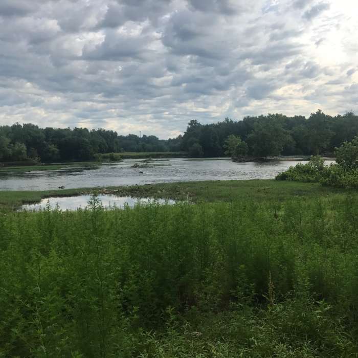 Near Potomac Heritage Trail: Riverbend Park