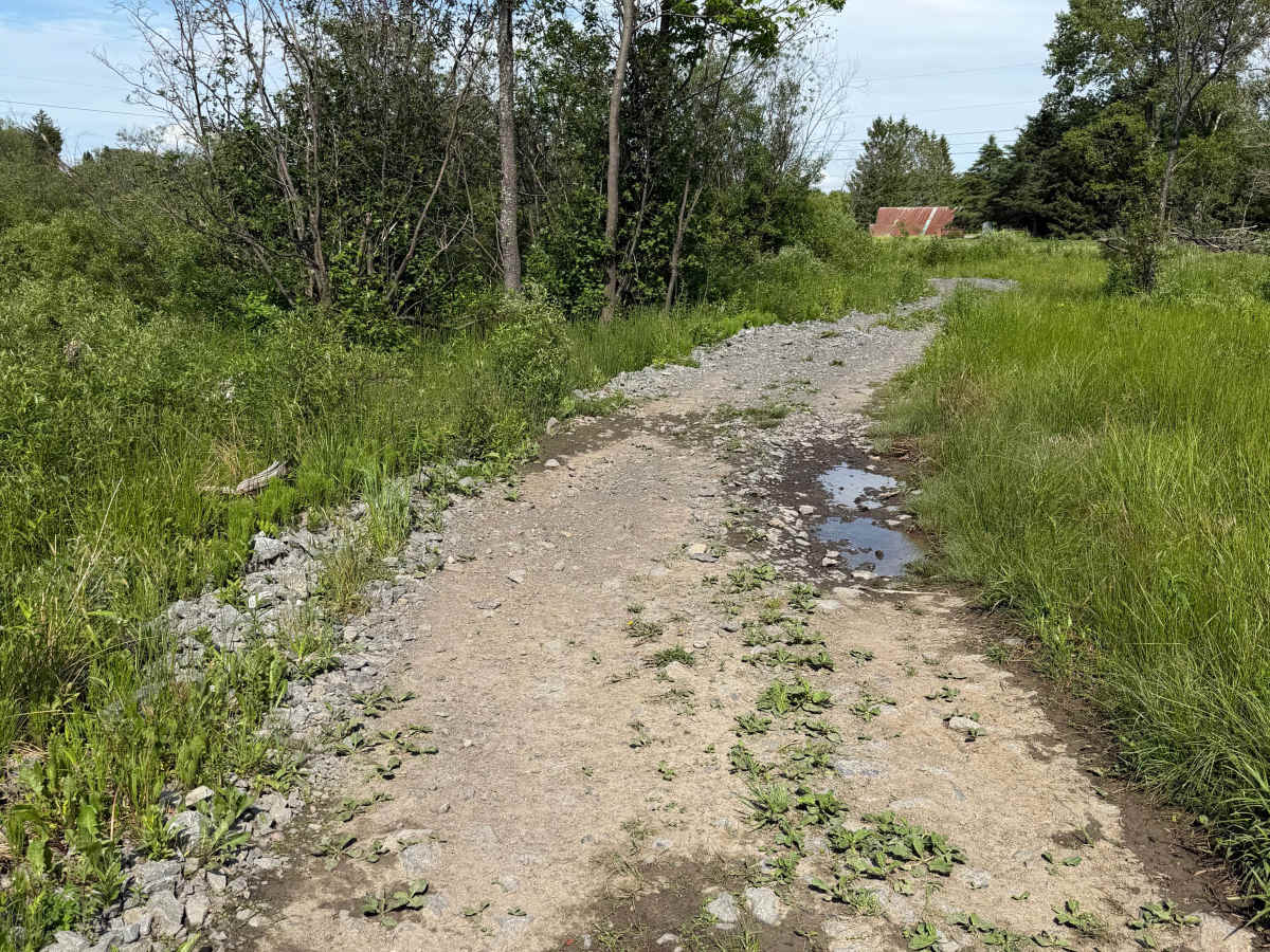 Zimmer Road Spur photo 3