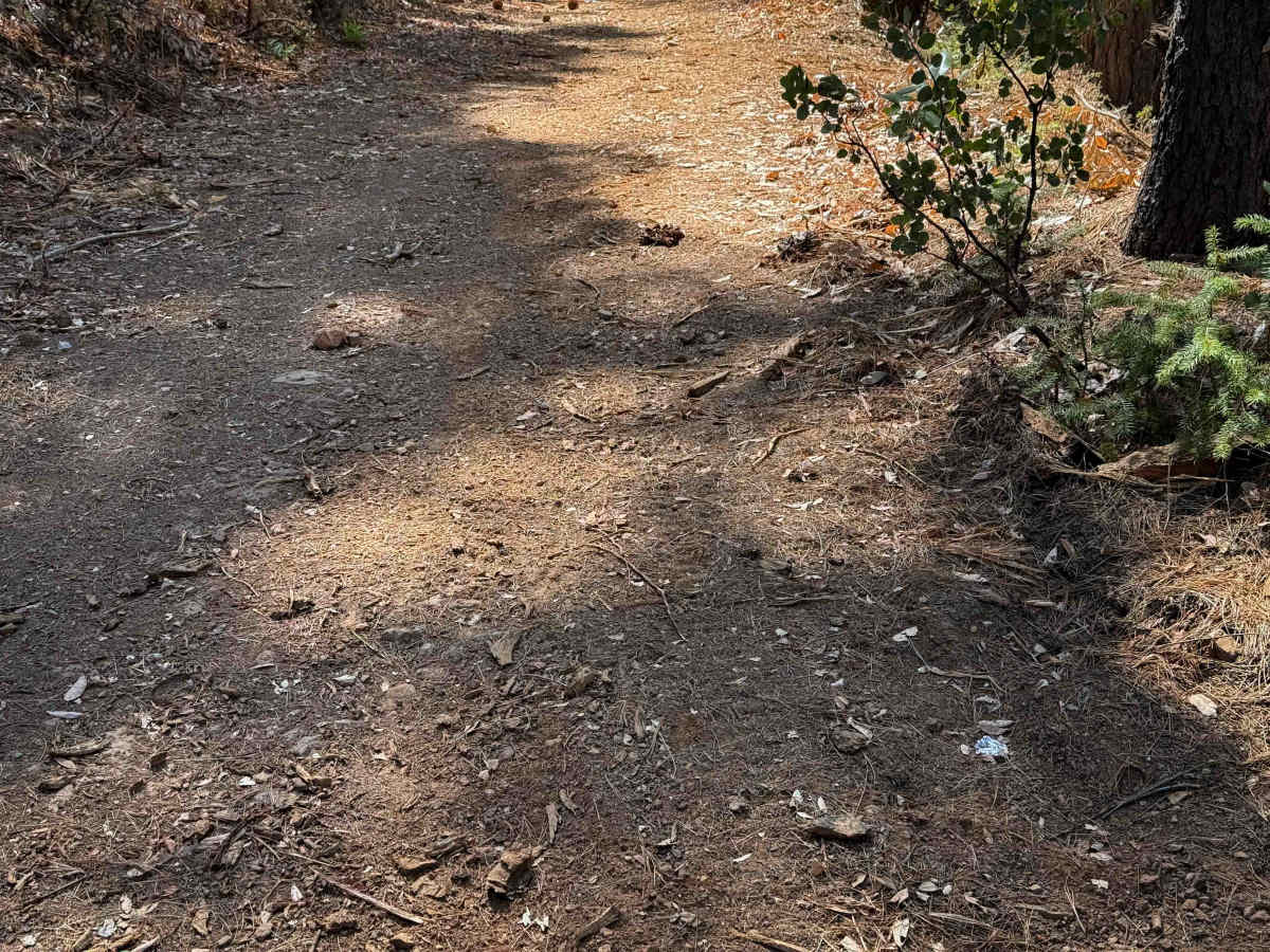 Trail 1-3 (11E30) photo 3