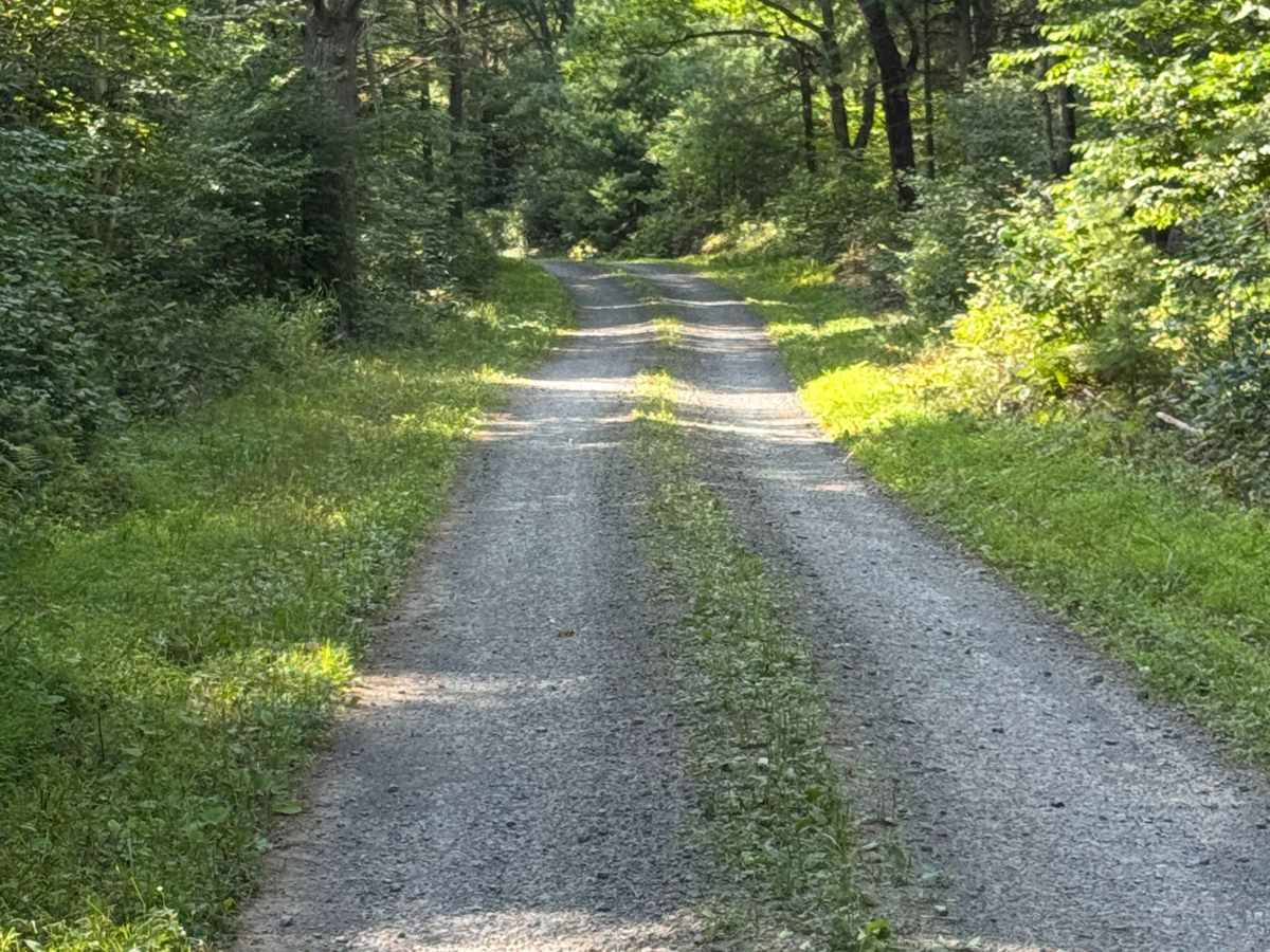 Fisher Mine Road photo 3