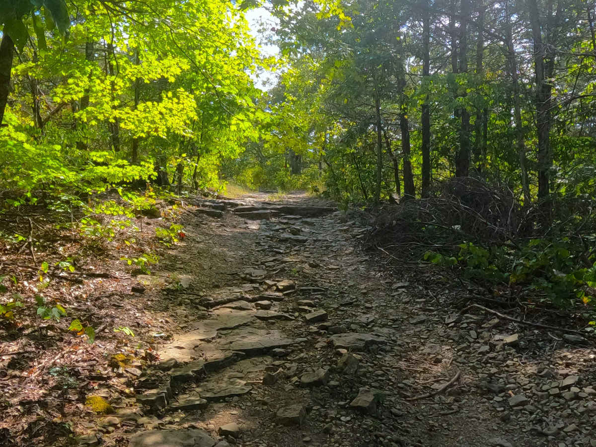 Pet Hollow - FS 507A photo 6
