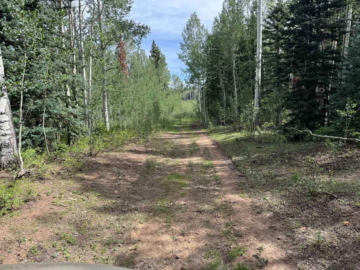 Pipe Creek Road Spur photo 5
