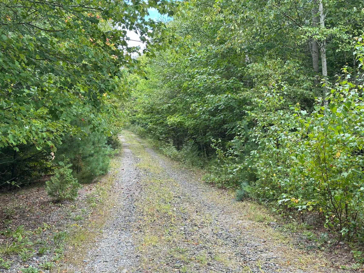 Forrest Moore Way photo 4
