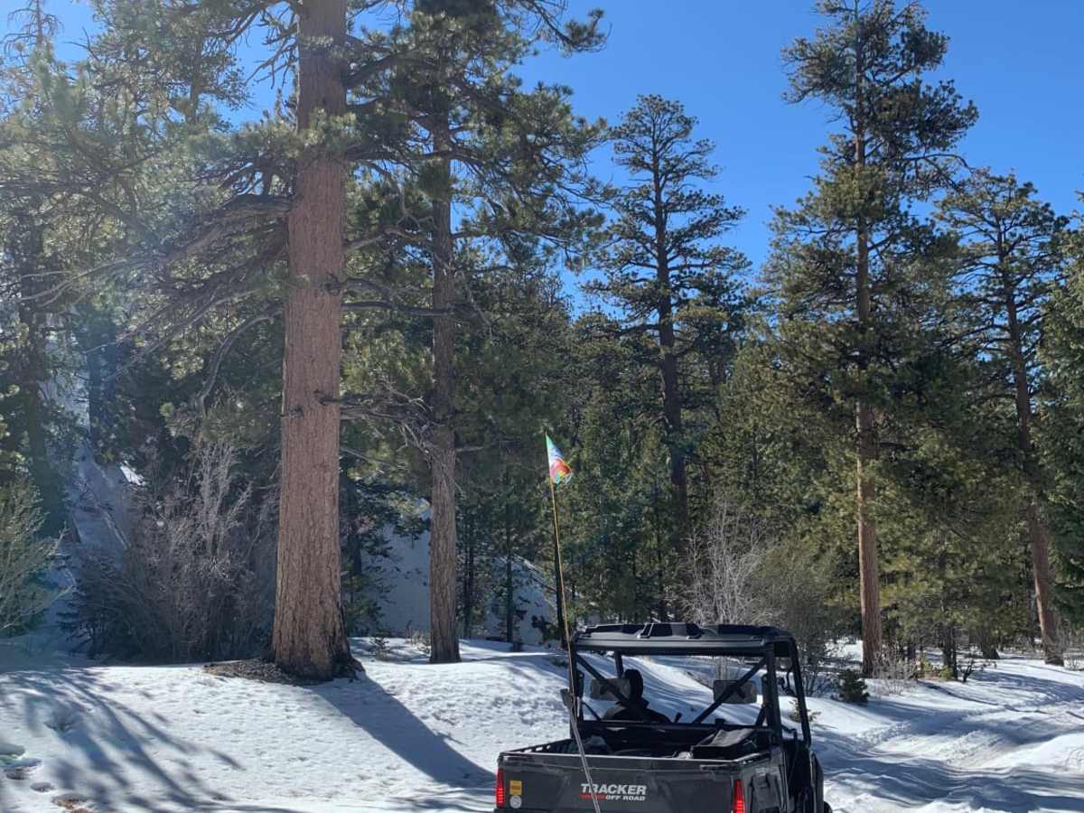 Wallace Canyon Road photo 3