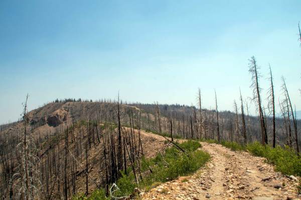 Dry Ridge Road - FS 10225