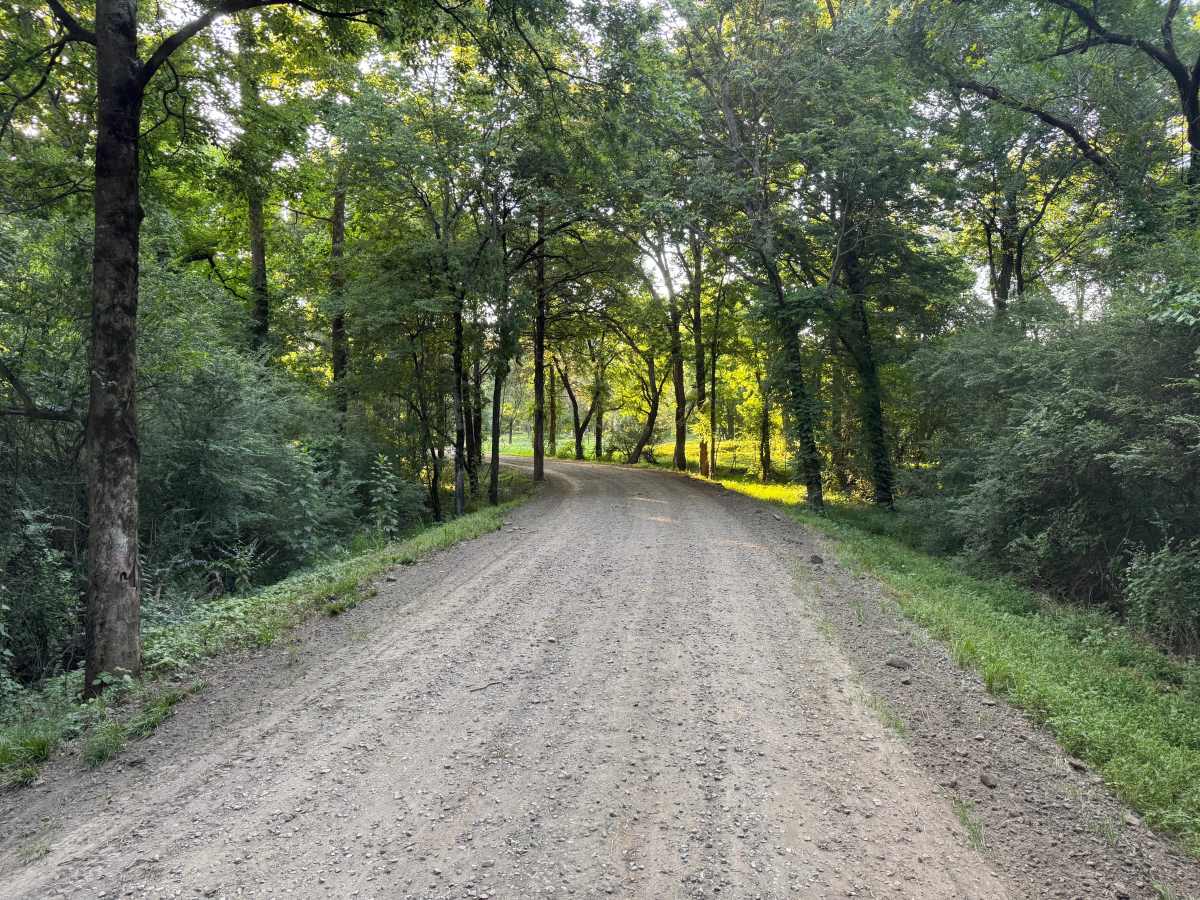 County Road 4200 photo 5