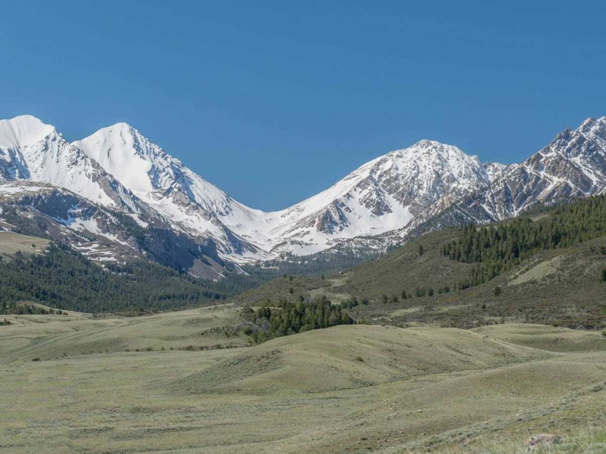 Upper Pahsimeroi River photo 4