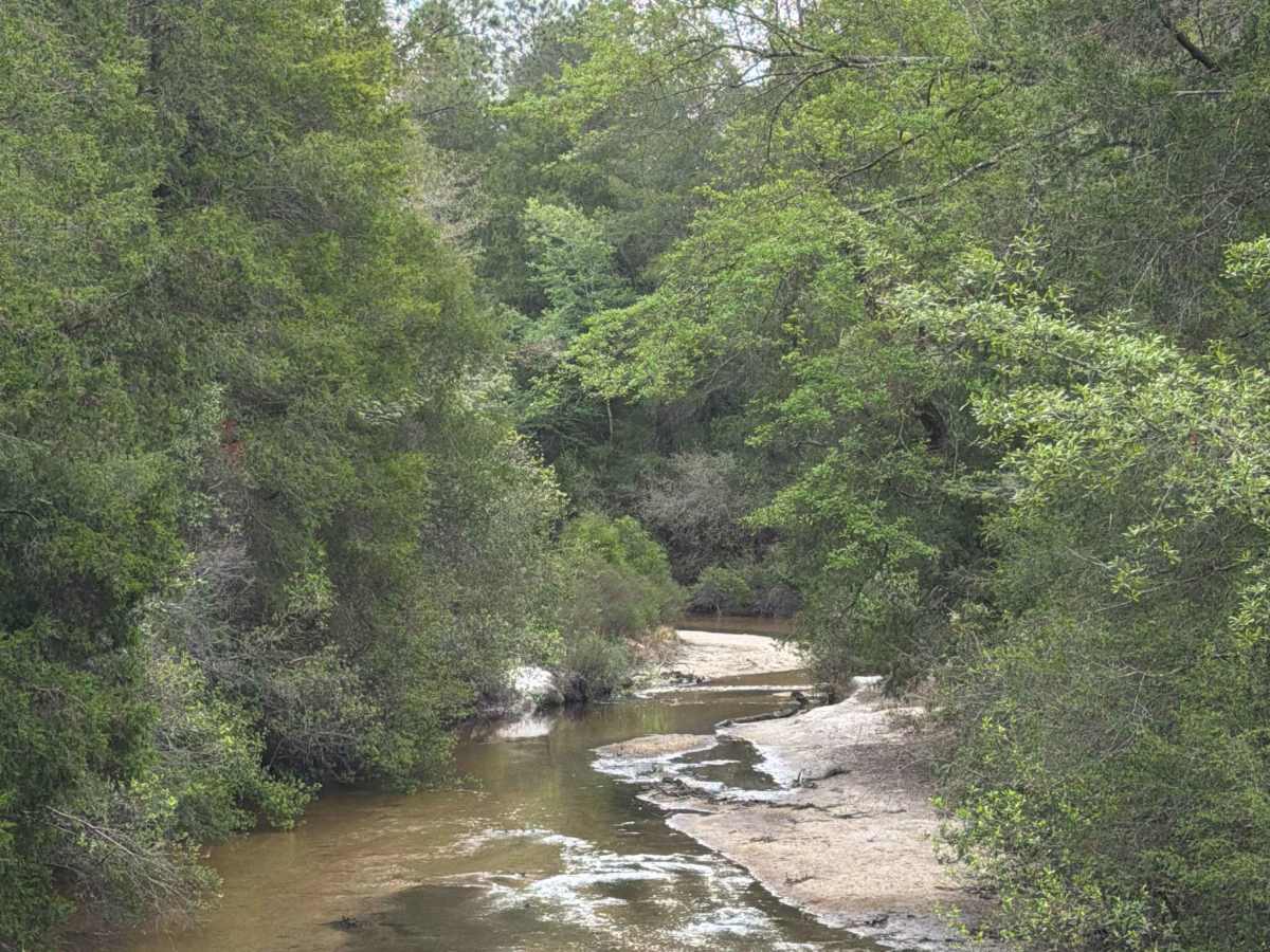 Simmons Road photo 6