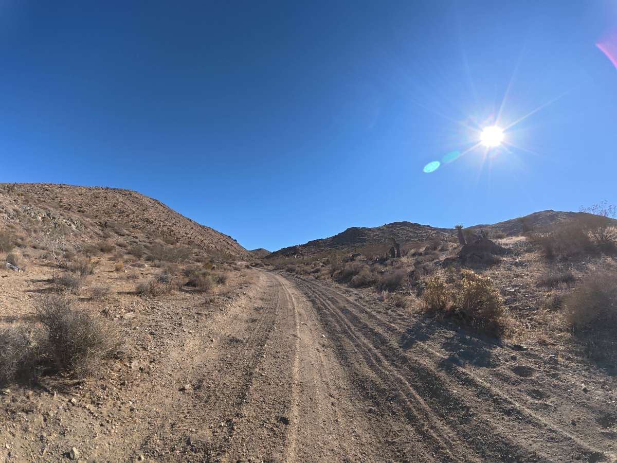 BLM 0M6627 photo 4