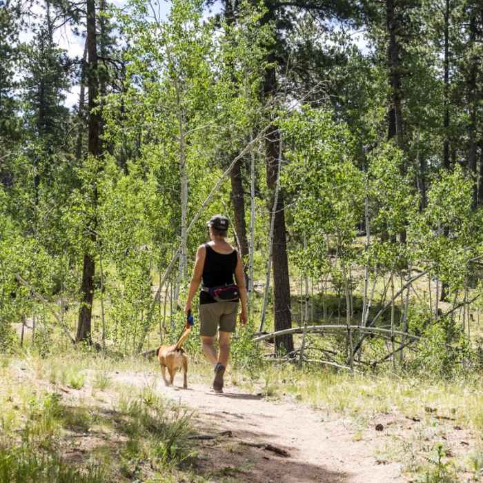 Near Red Rocks Trail Hike