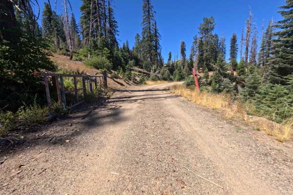 Espee Ridge - FS 23N39