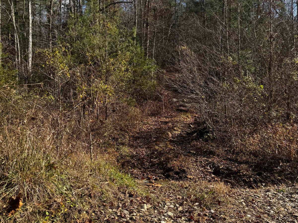 Boneyard Trail 2 HOTDAMN photo 3