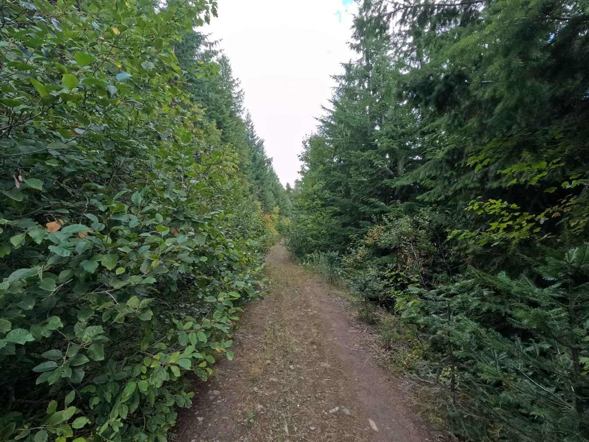 Ole Creek - FS 1092 photo 3