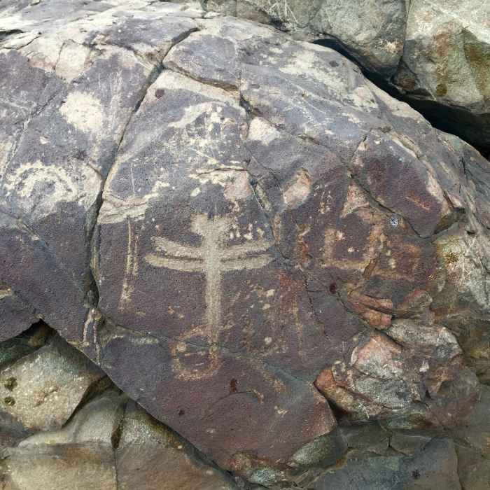 Near Dragonfly Loop Trail #720