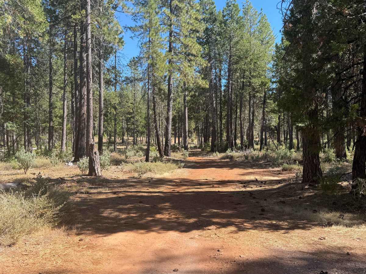 Indian - FS 19N03 trail photo