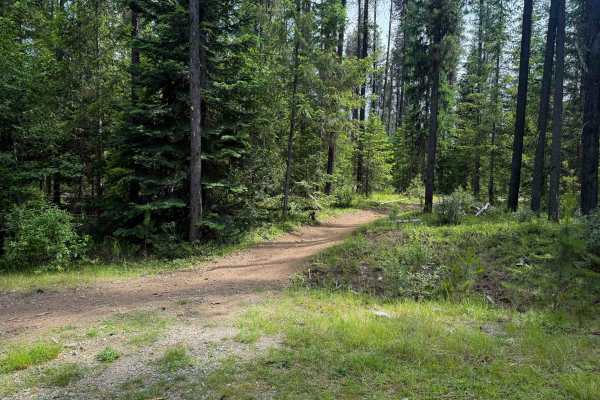 Sherry Spur Ditch Trail  