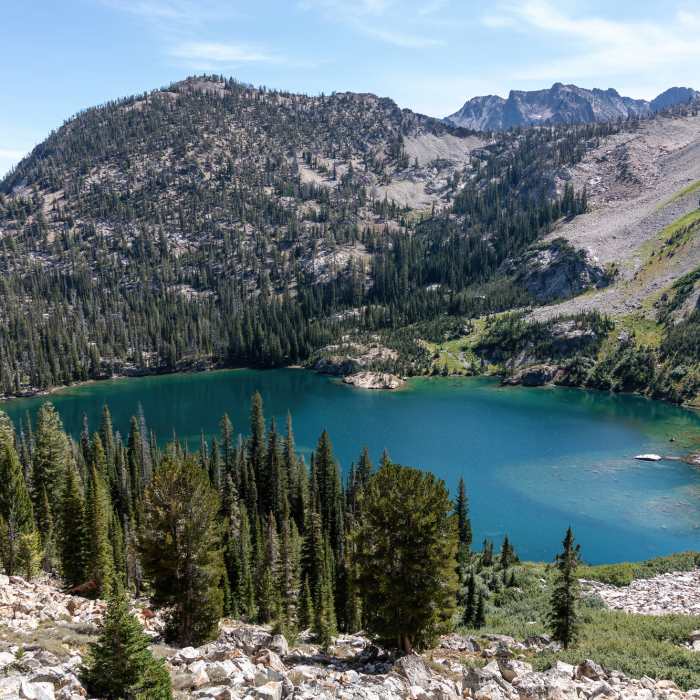 Near Iron Creek - Stanley Lake Trail #7640