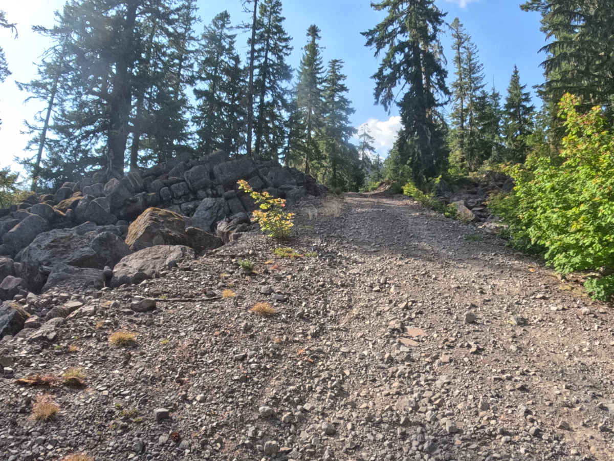 Daly Lake - FS 2266450 trail photo
