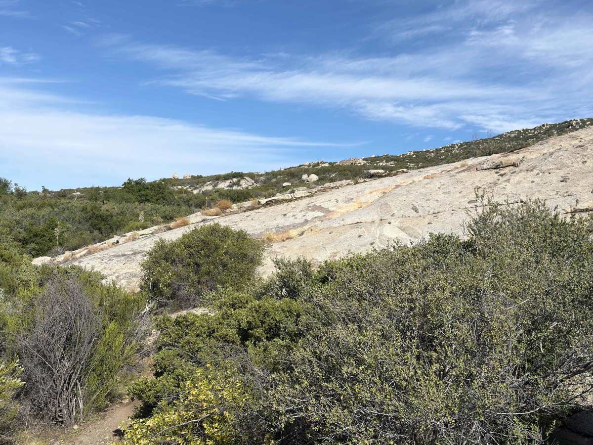 Ranger - Trail 12 photo 2