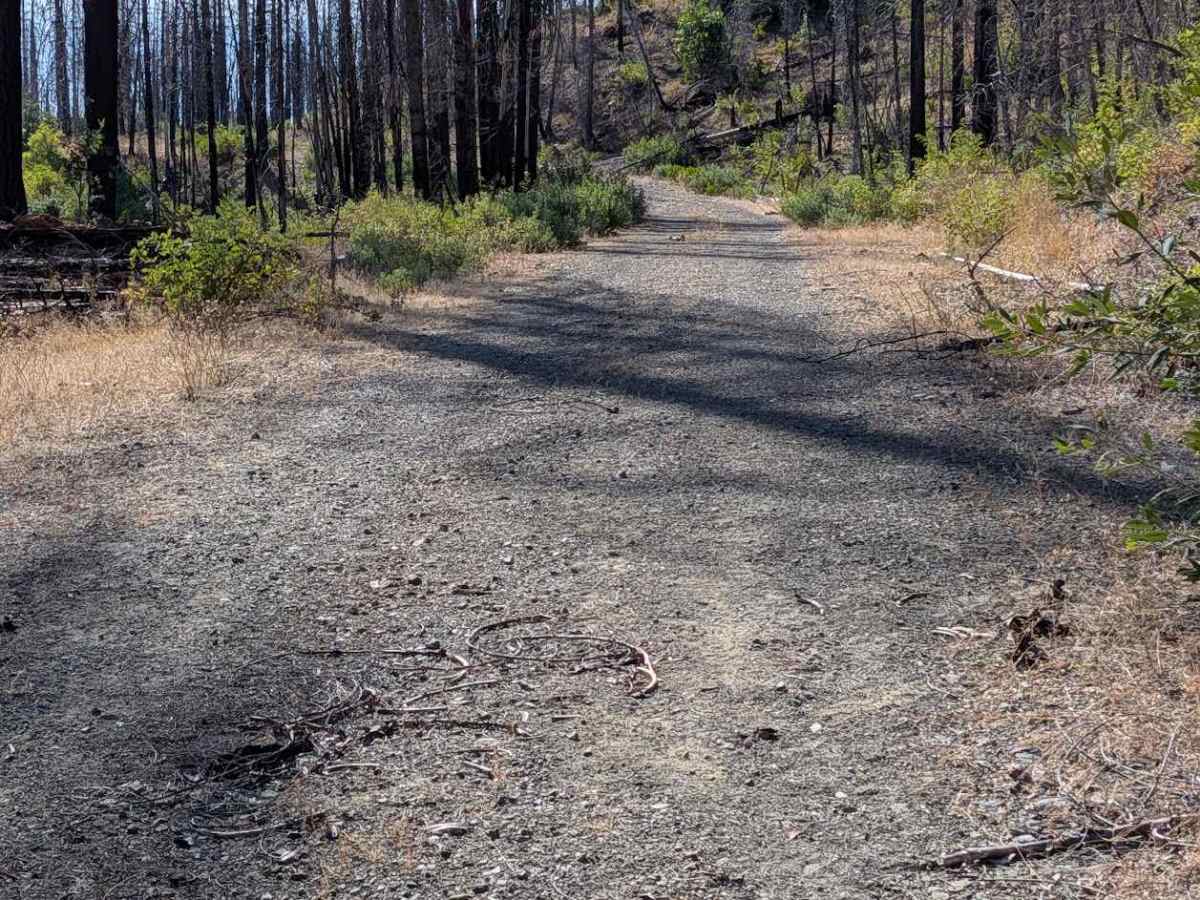 Panther Ridge Road - FS 29N33 photo 3
