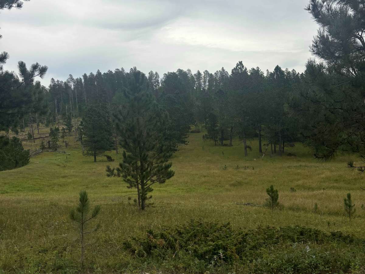Castle Creek photo 5