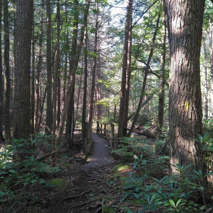 Near Whipple Lake Trail