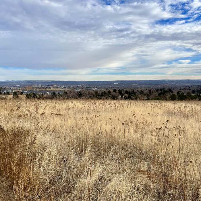 Near Upper Meadows, Ridge, Ponderosa, and Chamberlain Loop