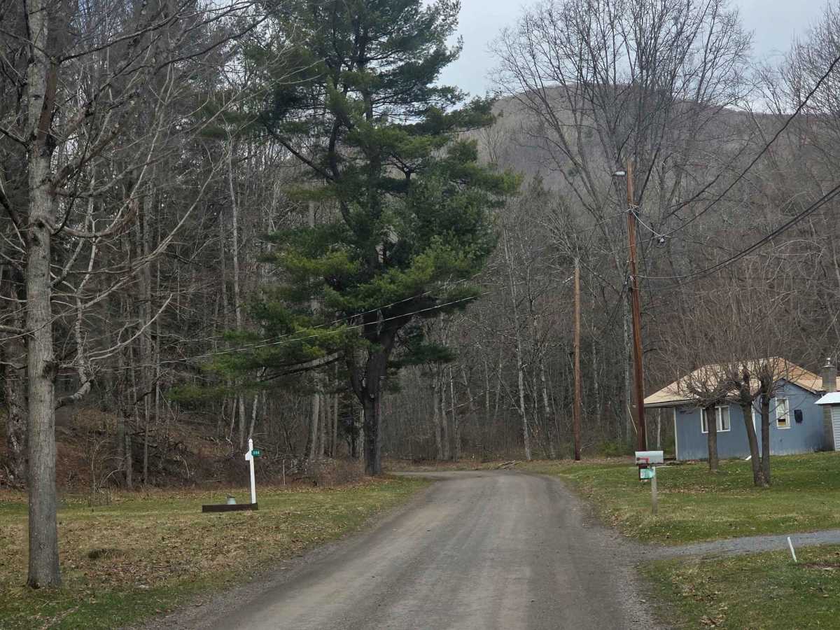 Straight Run Road trail photo