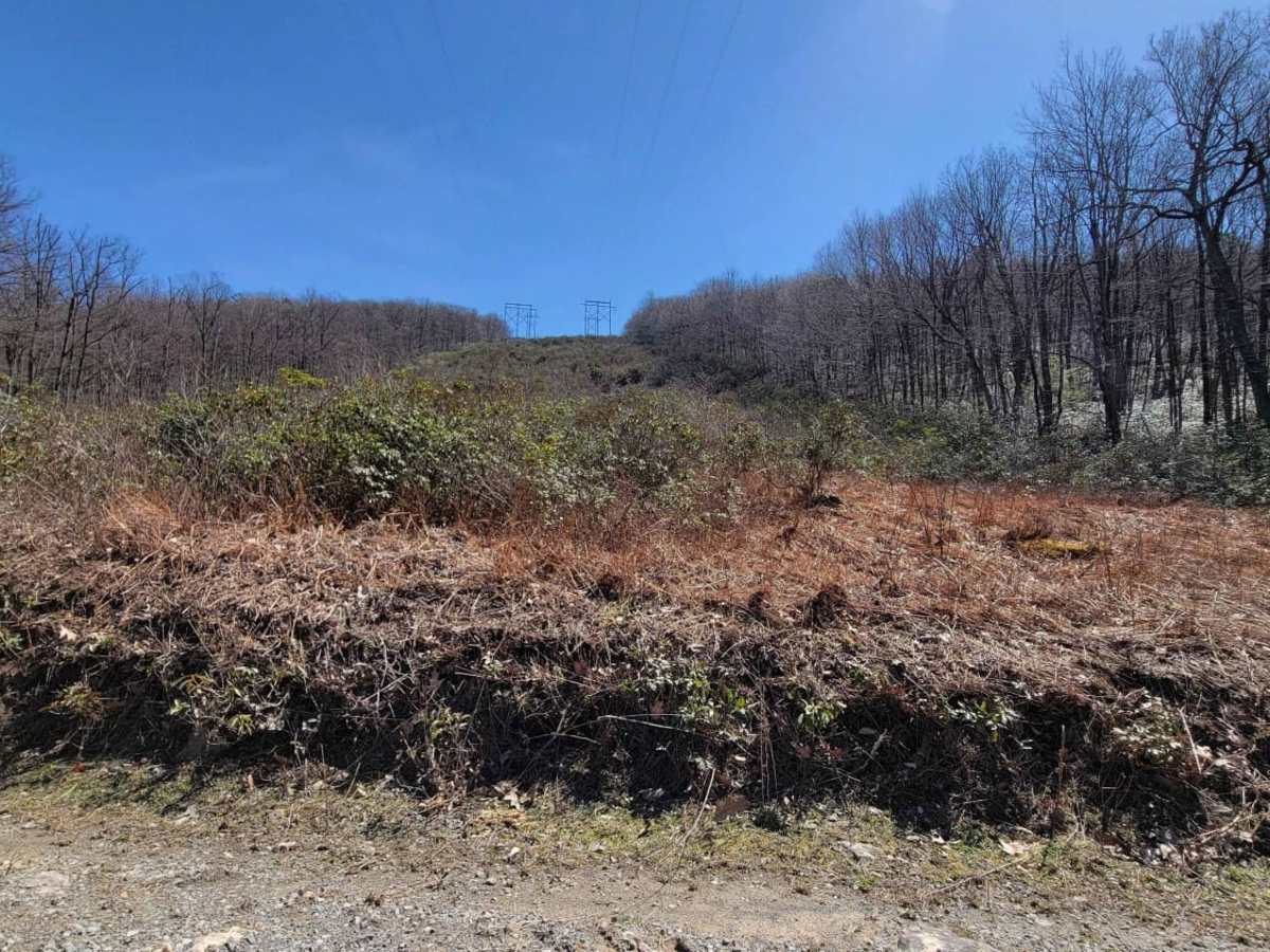 Blain Vista Trail photo 3