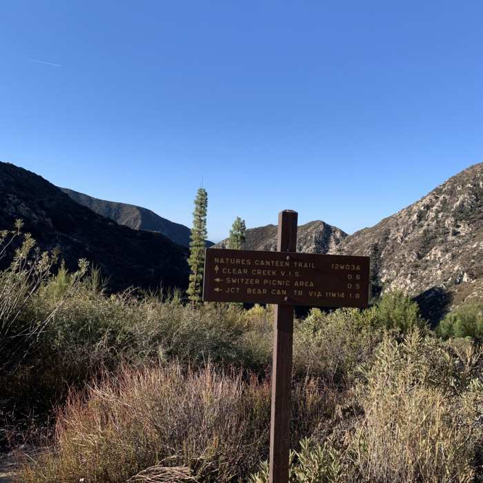 Near Strawberry + Josephine Loop