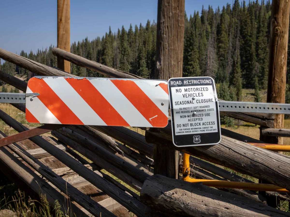 Alpine Plateau Road trail photo