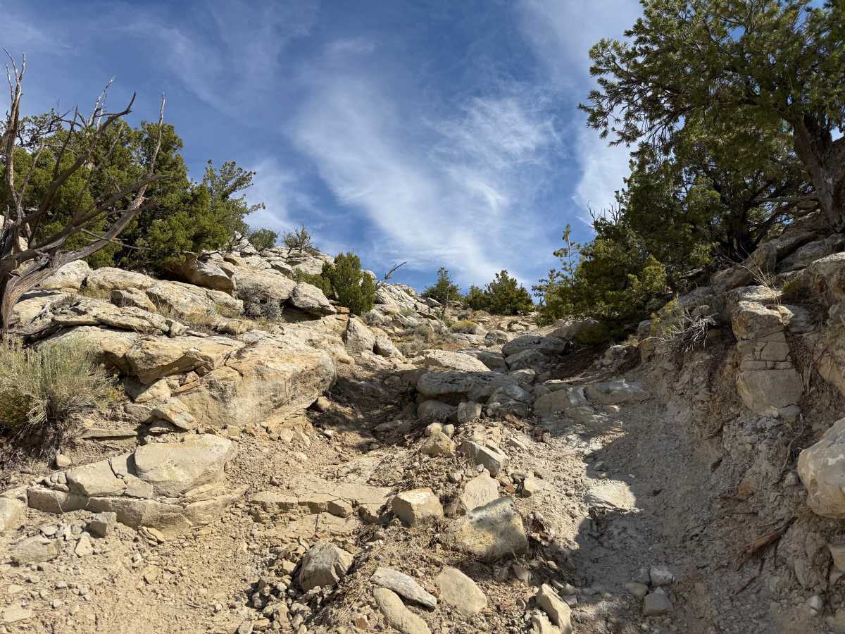 Tommy Trail trail photo
